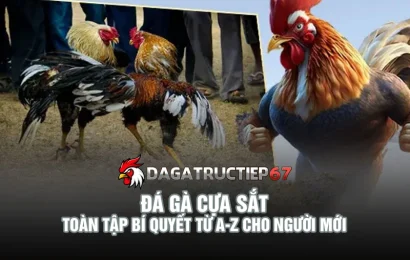 Đá gà cựa sắt - Toàn tập bí quyết từ a-z cho người mới
