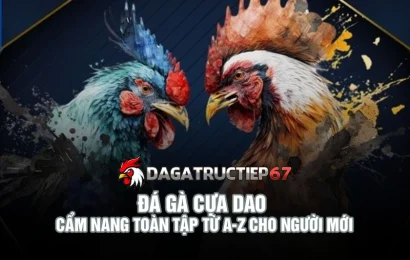Đá gà cựa dao - Cẩm nang toàn tập từ A-Z cho người mới
